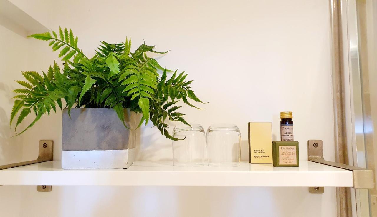 어 룸 위드 어 뷰 호텔 브라이턴 외부 사진 A fern in a bathroom
